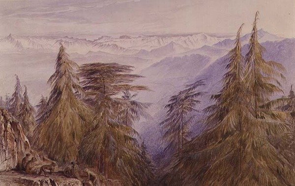 Majmok egy sziklán, Simla közelében, Észak-Indiában alkotó: Edward Lear
