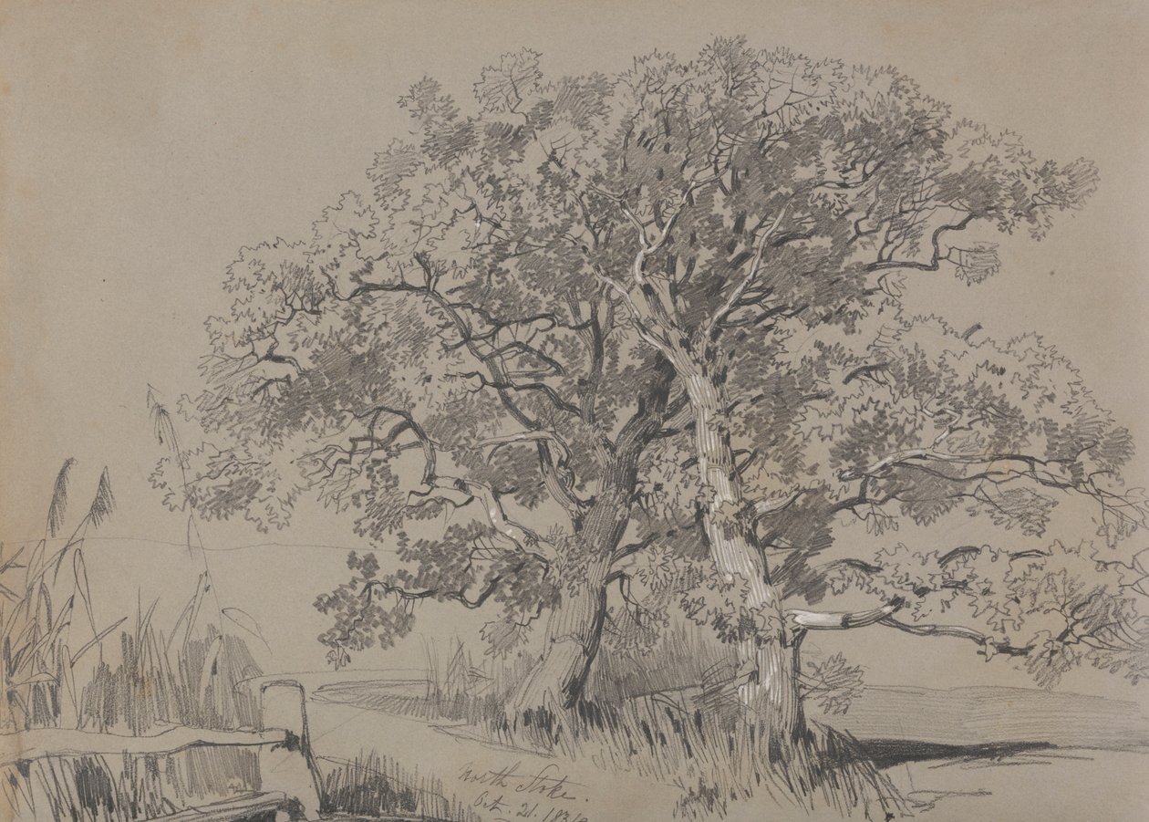 North Stoke. 1834. október 21. alkotó: Edward Lear