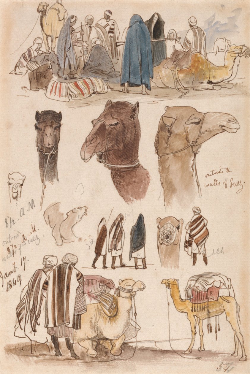 Suez falain kívül, 1849. január 17., reggel 8:30 (54) alkotó: Edward Lear