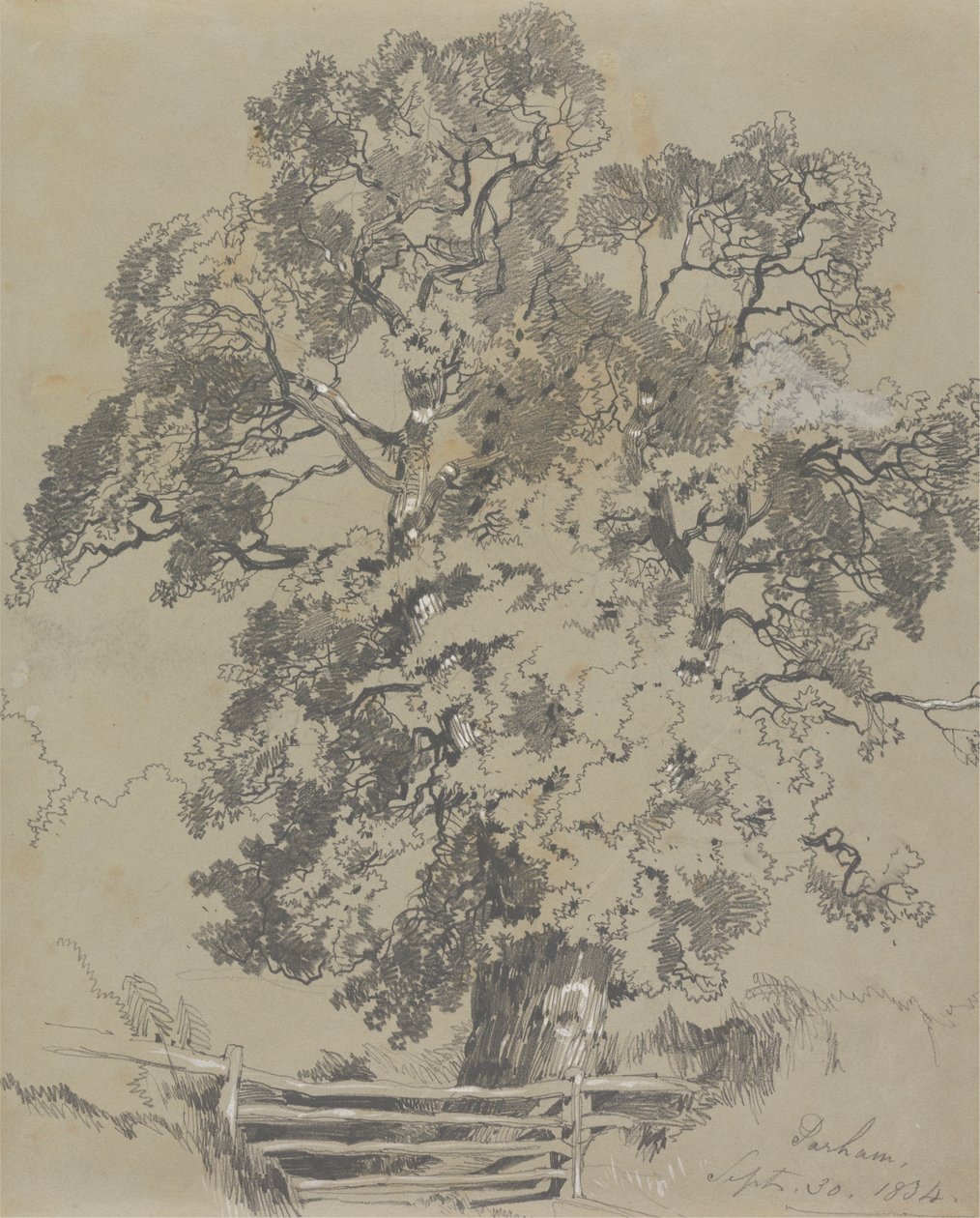 Parham, szept. 1834. 30 alkotó: Edward Lear
