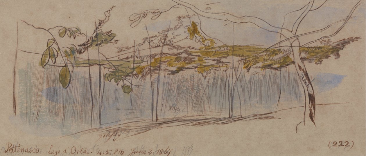 Pettenasco, Orta -tó alkotó: Edward Lear