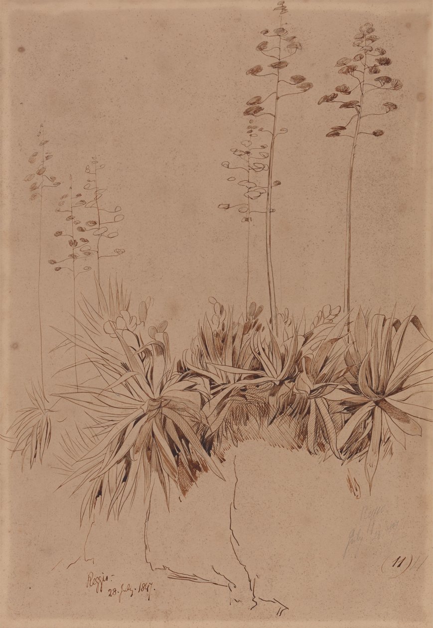 Reggio alkotó: Edward Lear