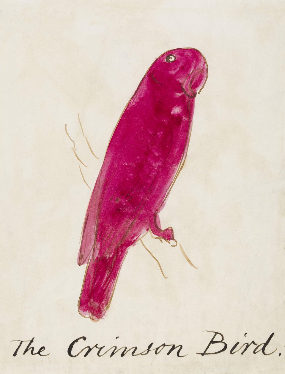 The Crimson Bird, a Tizenhat képregény madarak rajzából (toll és tus wc papíron) alkotó: Edward Lear