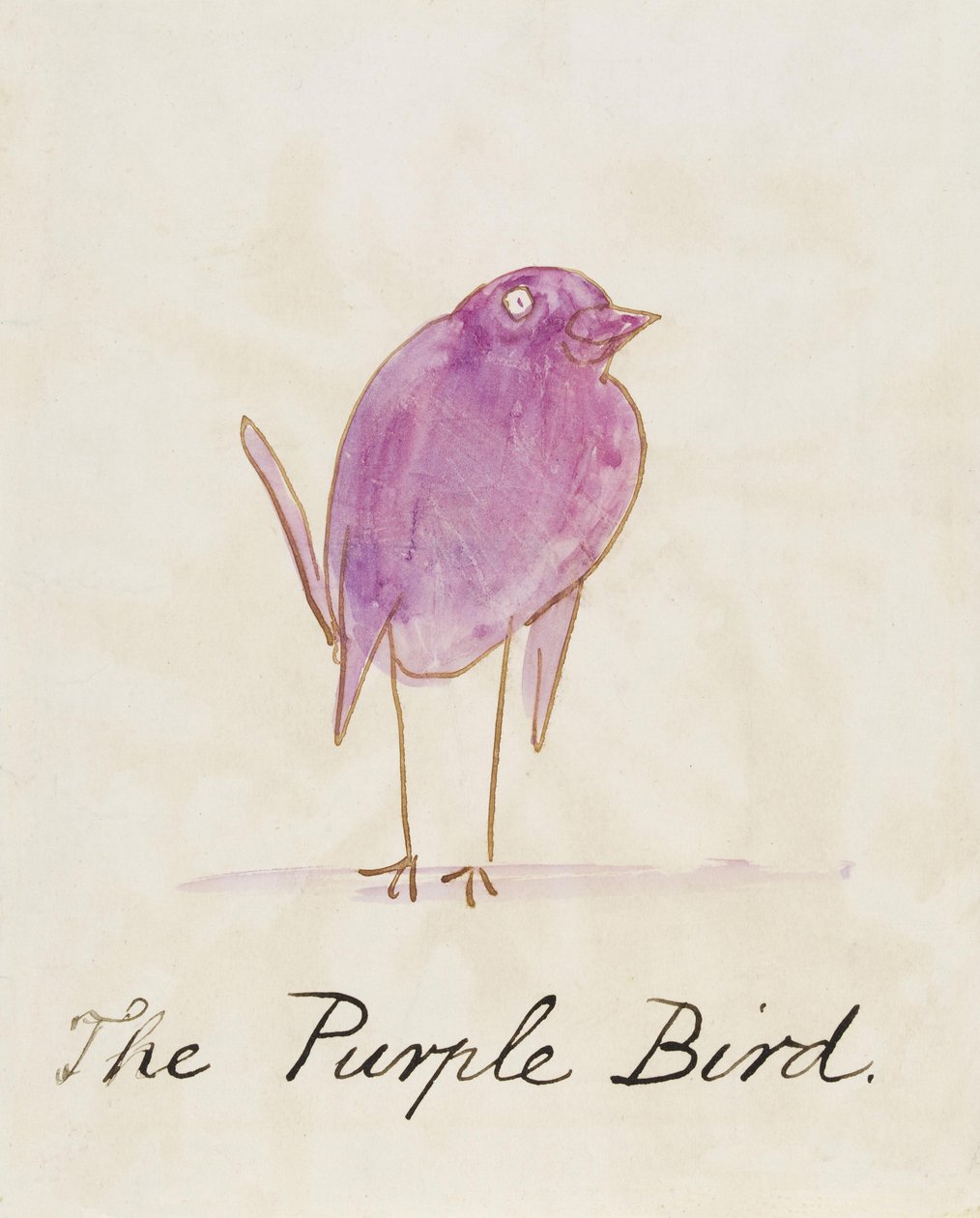 A lila madár a "Tizenhat képregény madarak rajzából" alkotó: Edward Lear