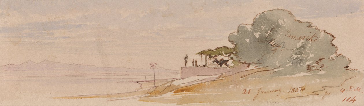 Théba alkotó: Edward Lear