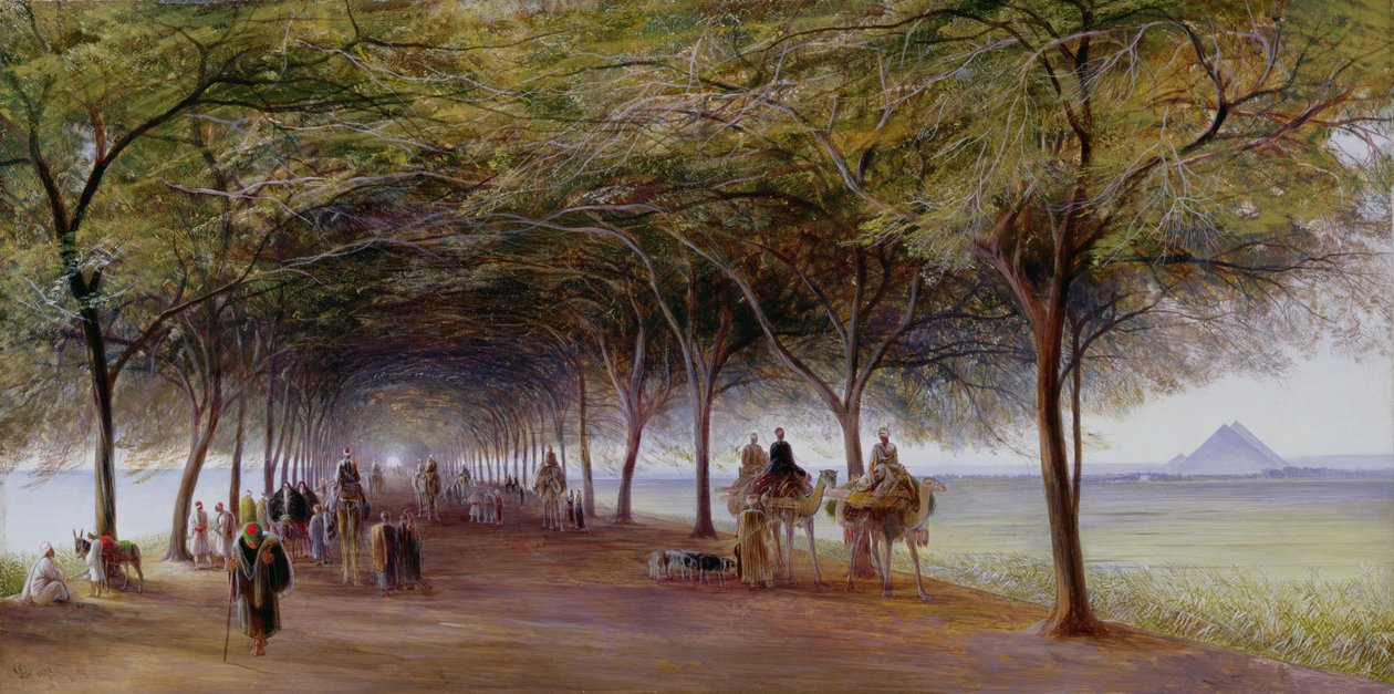 Kilátás a piramisok útjára, Giza alkotó: Edward Lear