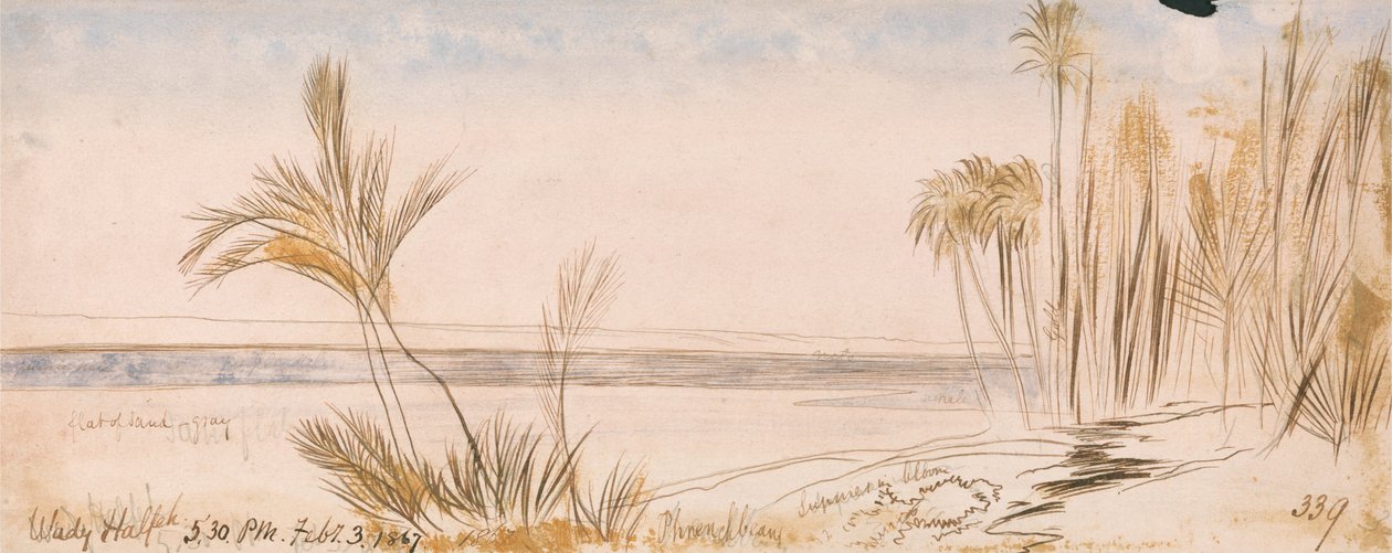 A Halfeh hátrányai alkotó: Edward Lear