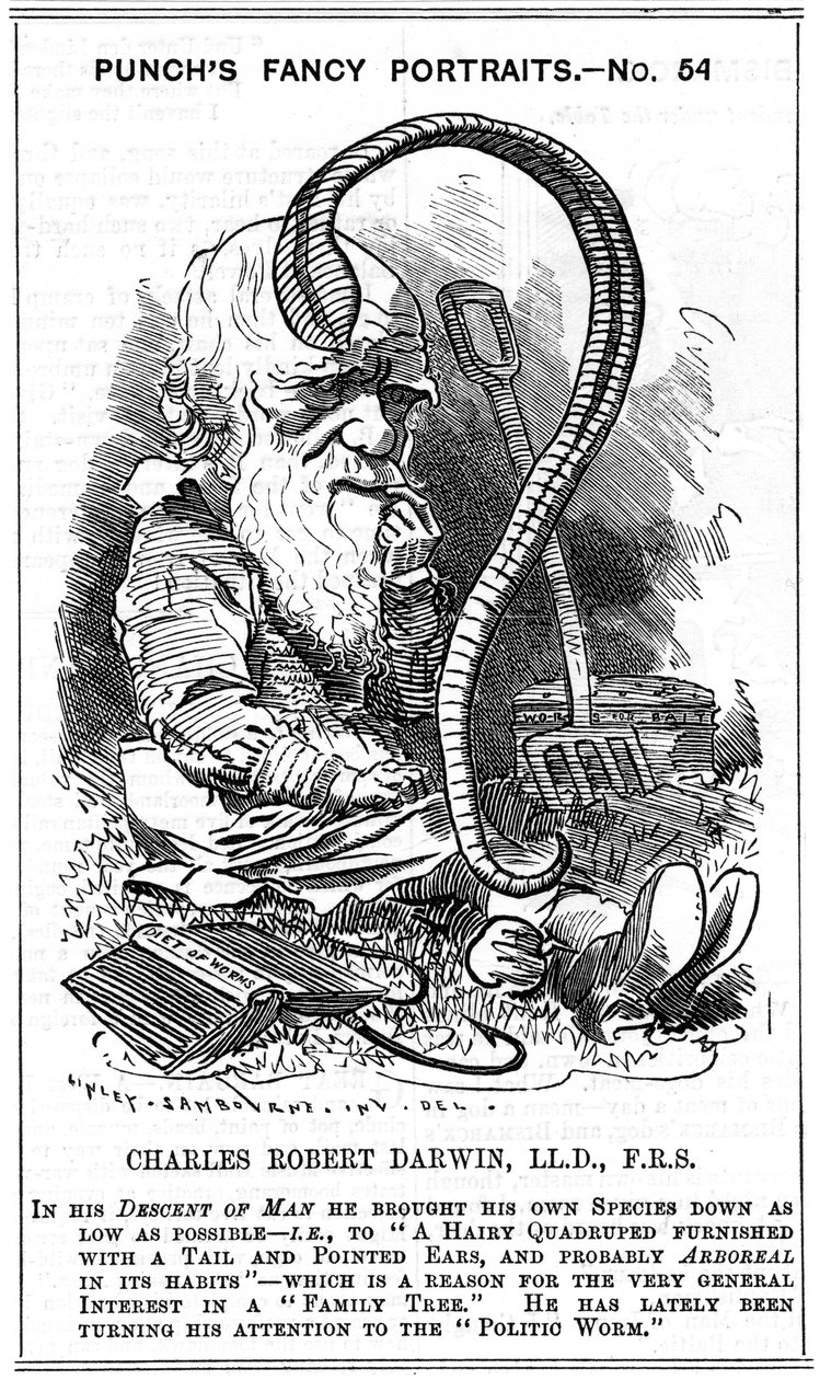 Charles Darwin angol természettudós, 1881 alkotó: Edward Linley Sambourne