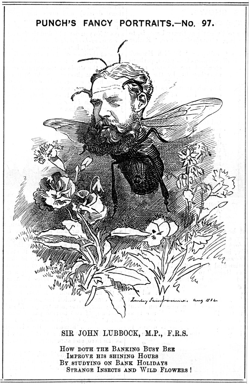 John Lubbock, az első Baron Avebury, angol bankár, régész, természettudós és politikus, 1882 alkotó: Edward Linley Sambourne