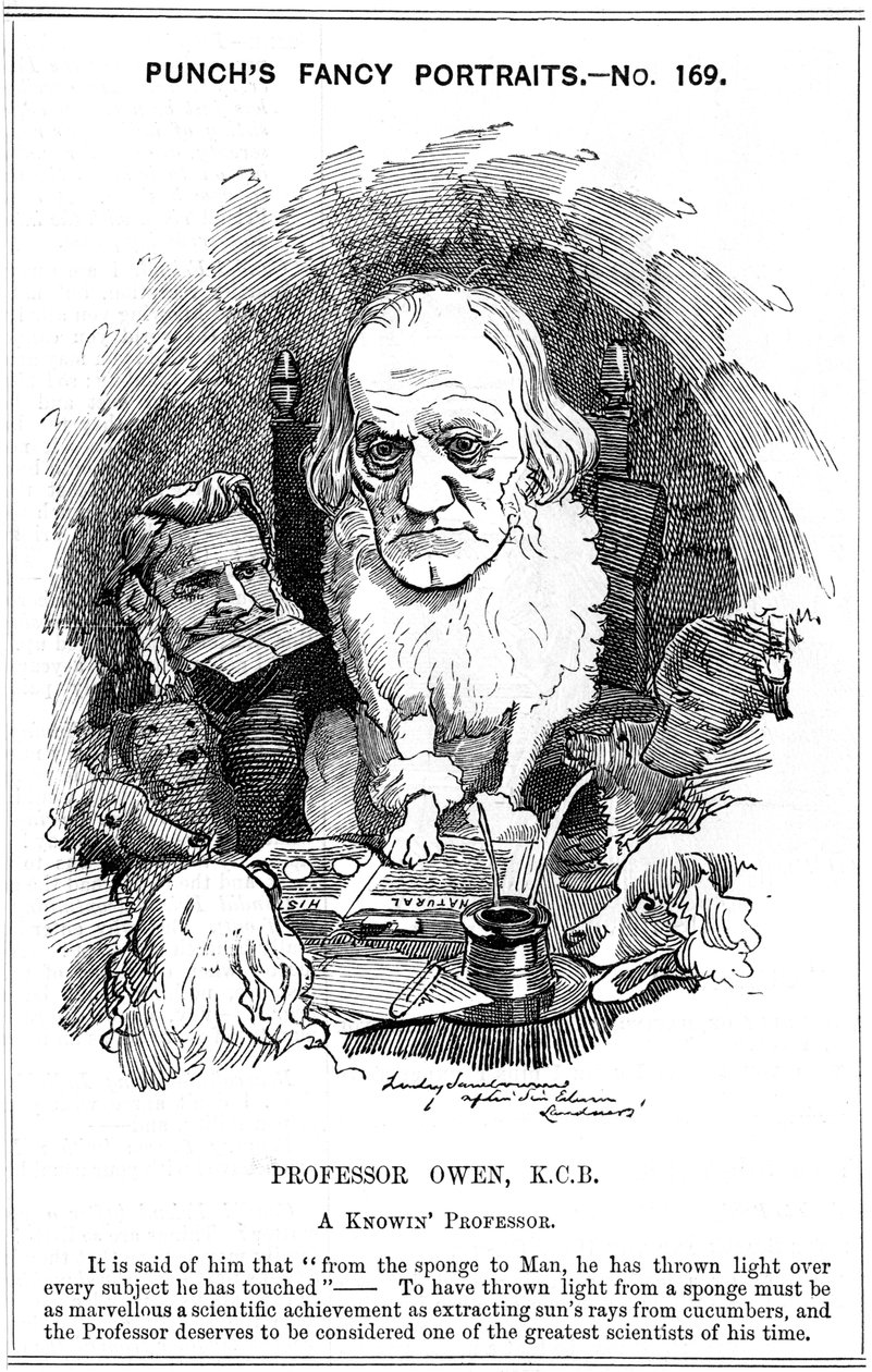 Richard Owen angol zoológus, 1884 alkotó: Edward Linley Sambourne
