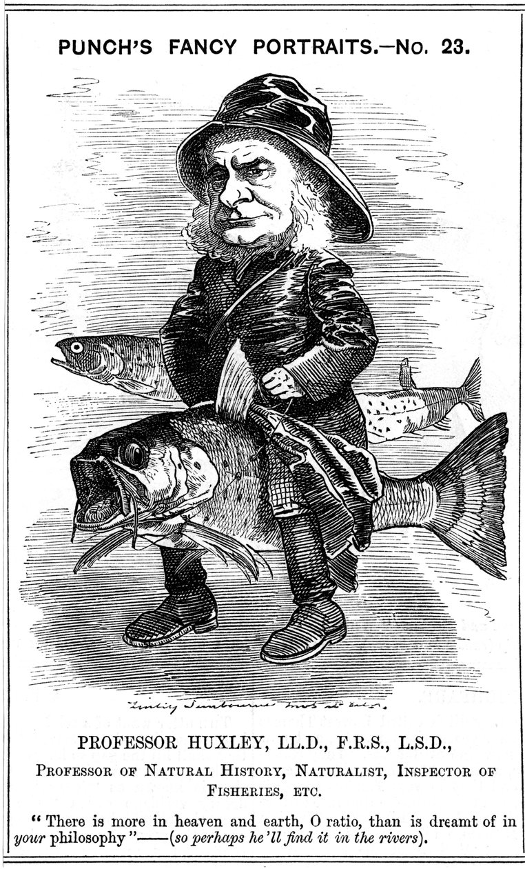 Thomas Henry Huxley angol biológus, 1881 alkotó: Edward Linley Sambourne