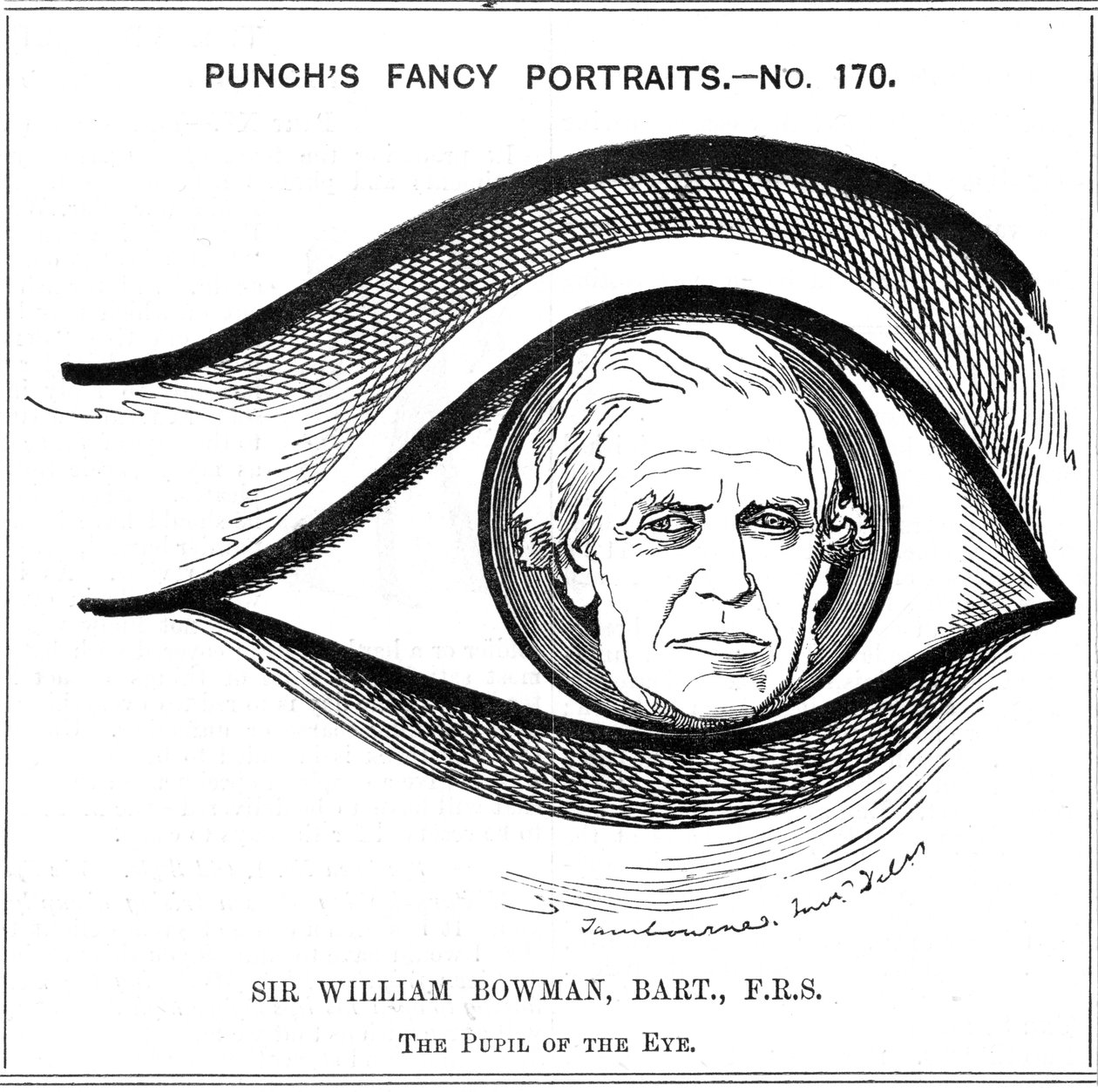 William Bowman angol anatómus, sebész és szemész, 1884 alkotó: Edward Linley Sambourne