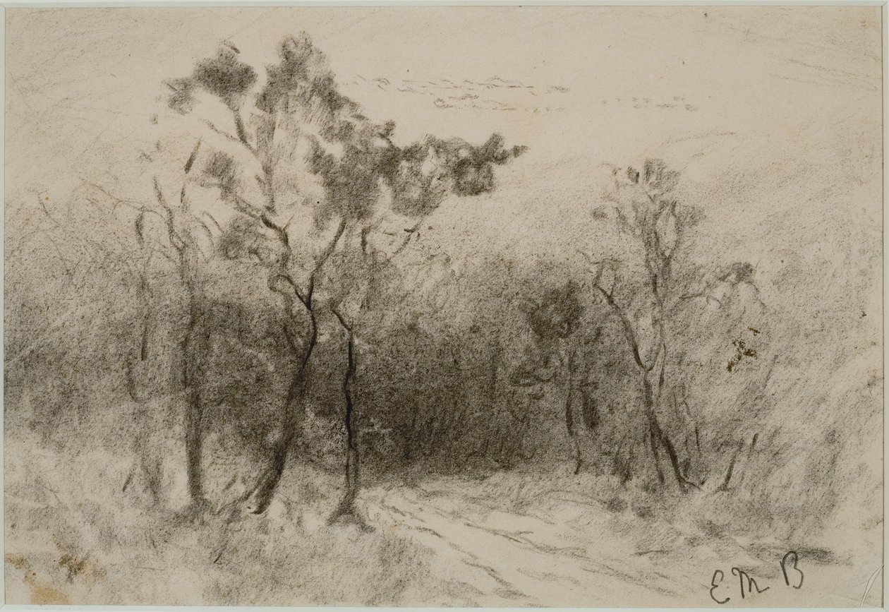Táj ösvénnyel (#51), c. 1880-as évek (szén papíron) alkotó: Edward Mitchell Bannister