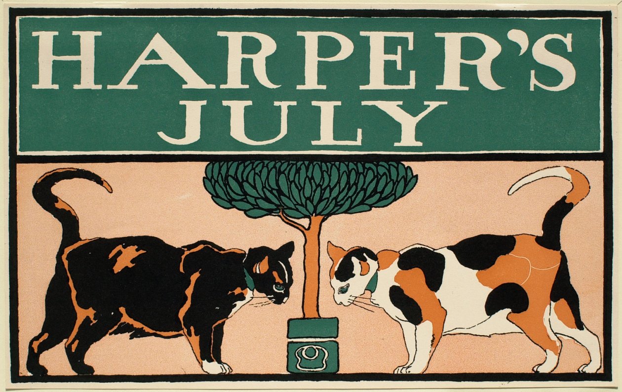Zwei Katzen und ein Baum, Juli Harper