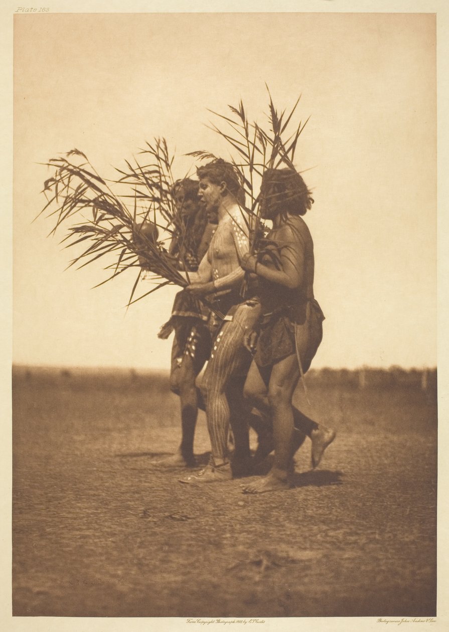 Arikara gyógyászati szertartás - a kacsák alkotó: Edward S. Curtis