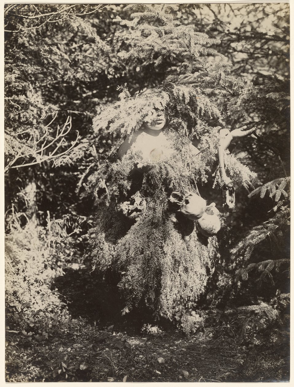 [Ghost Dancer - Kwakiutl] alkotó: Edward S. Curtis
