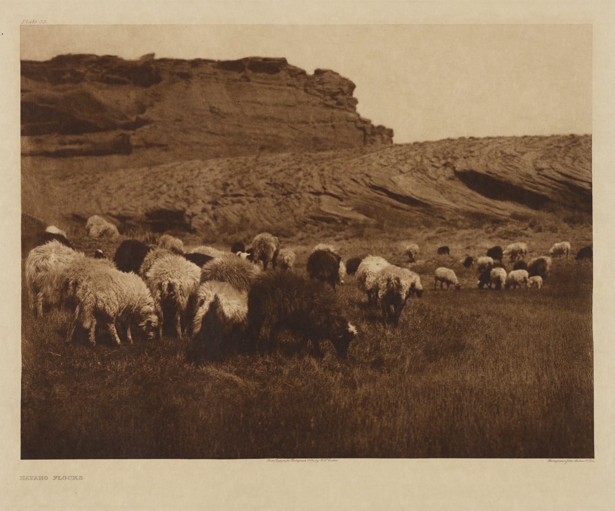 [Navahó nyájak] alkotó: Edward S. Curtis