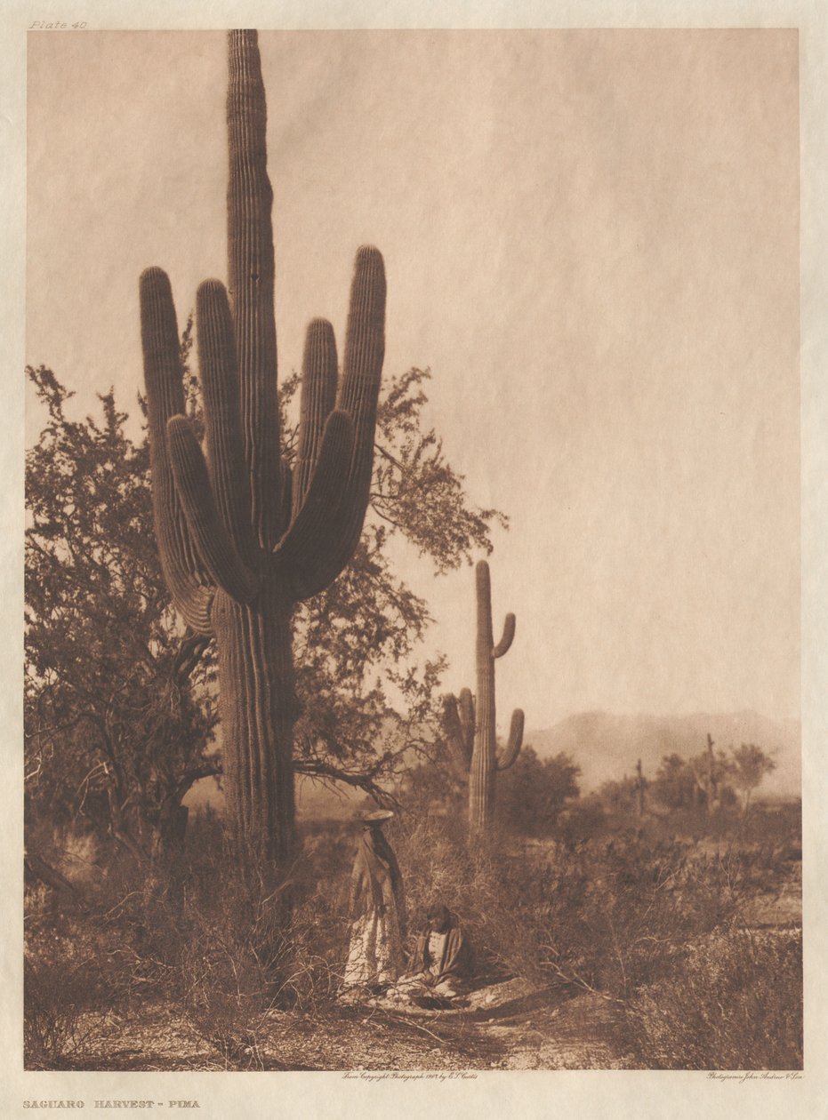 II. portfólió, 40-75. táblák alkotó: Edward S. Curtis