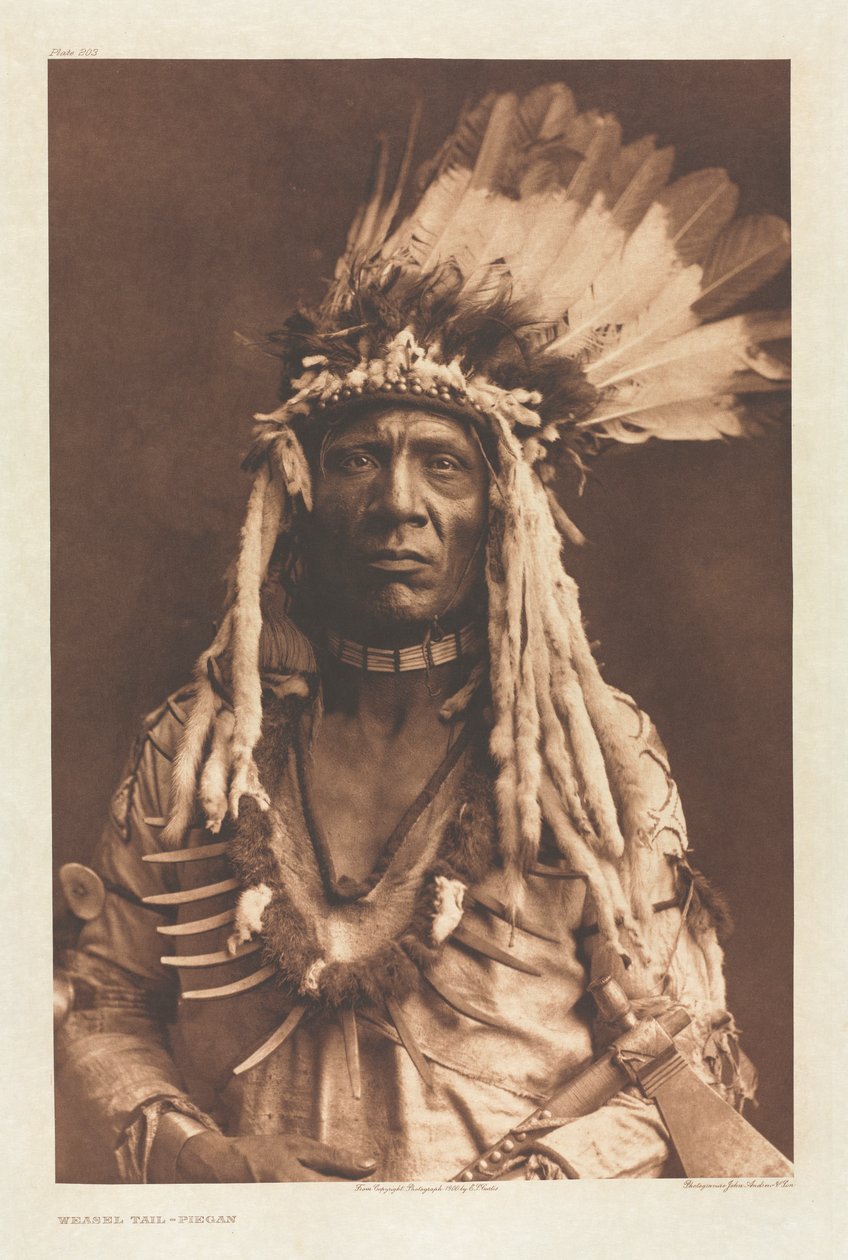 Portfolio VI, 203. tábla: Menyétfark – Piegan alkotó: Edward S. Curtis