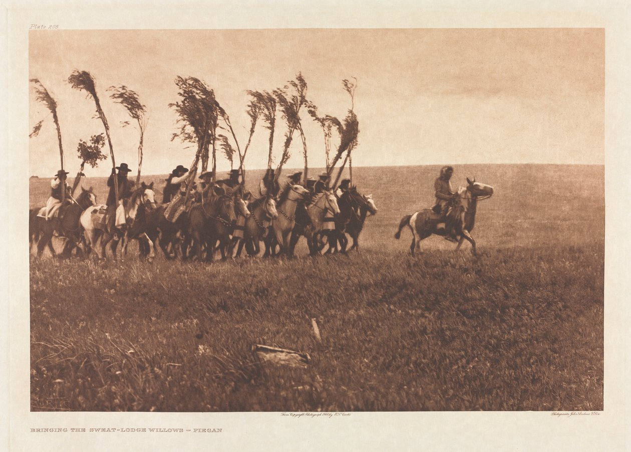 Portfolio VI, 205. tábla: Bringing the Sweat-Lodge Willows – Piegan alkotó: Edward S. Curtis