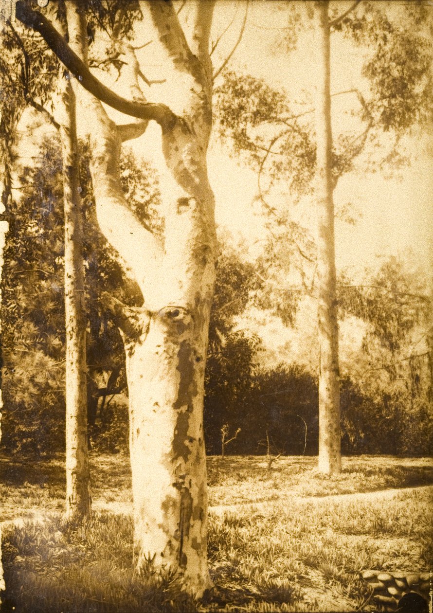 Auf dem Bauernhof, Seattle, Washington alkotó: Edward Sheriff Curtis