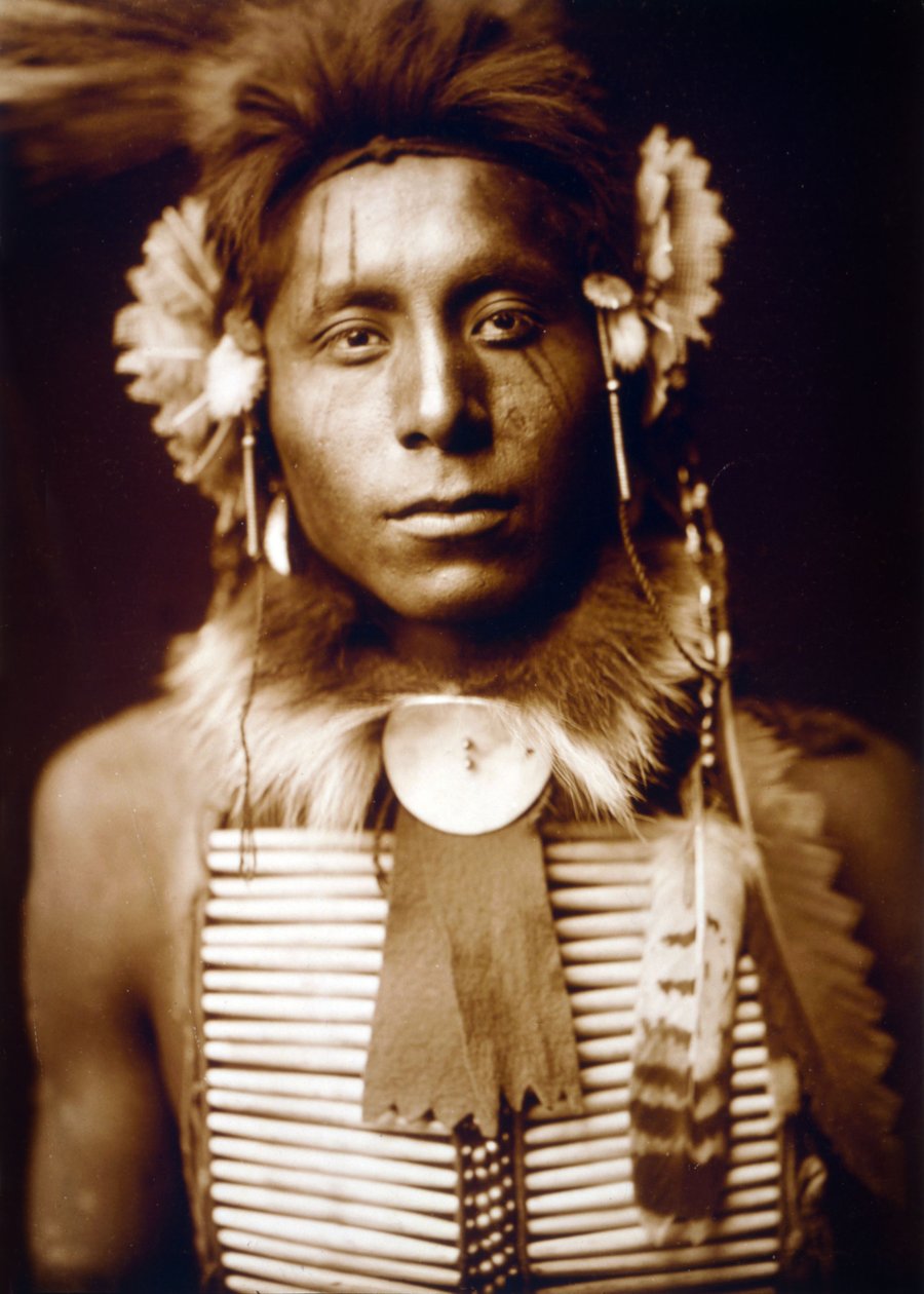 Ülő sas, varjúember, c. 1905, fénykép Edward S. Curtis alkotó: Edward Sheriff Curtis