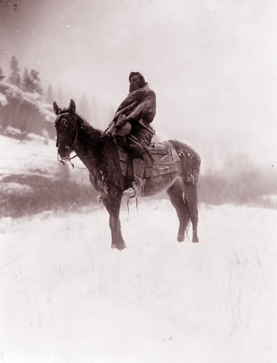 A cserkész télen, Apsaroke alkotó: Edward Sheriff Curtis