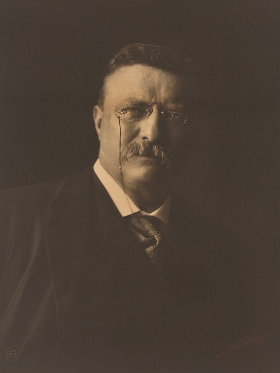 Theodore Roosevelt alkotó: Edward Sheriff Curtis