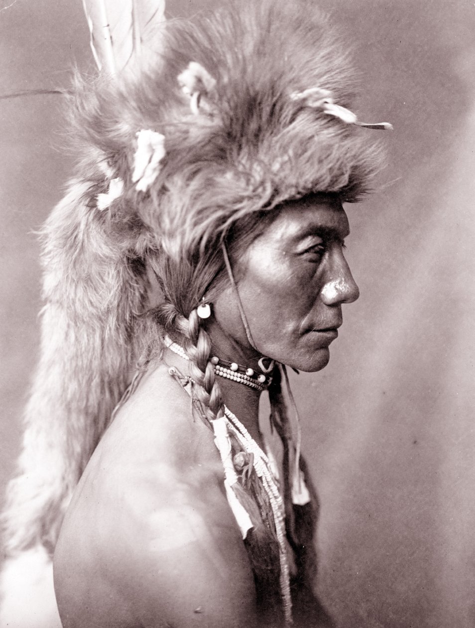 Sárga vese, Piegan alkotó: Edward Sheriff Curtis