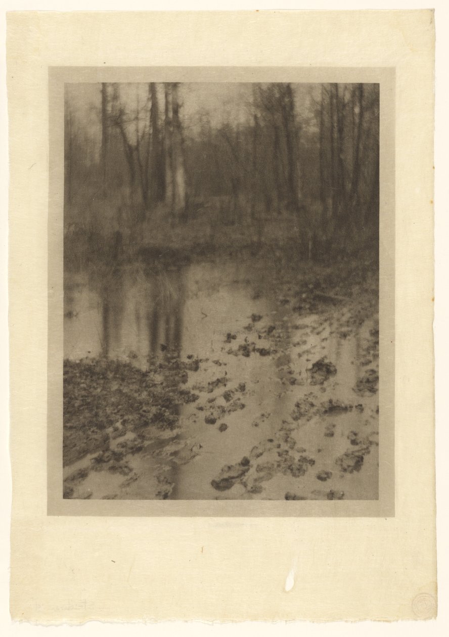 A medence alkotó: Edward Steichen