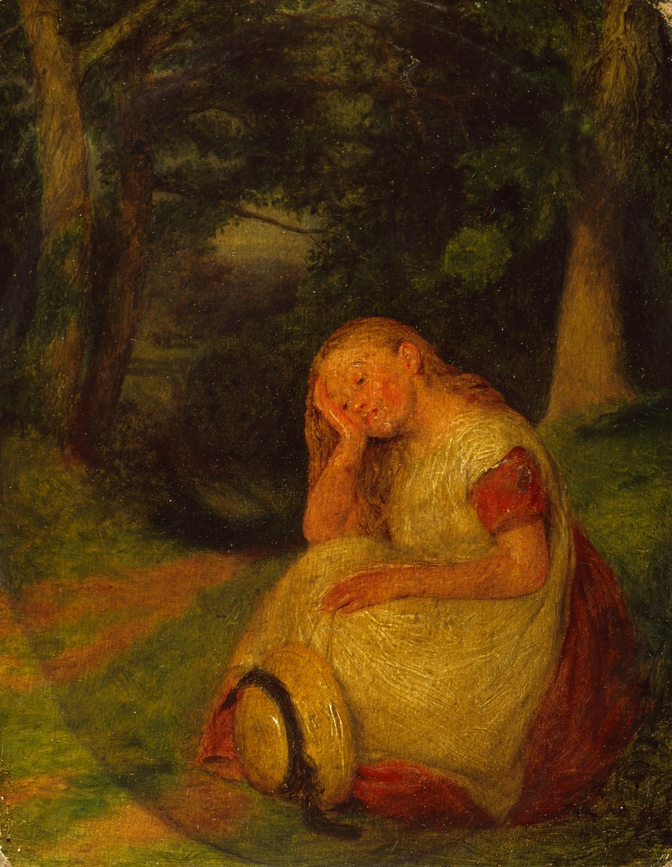 Távoli gondolatok alkotó: Edward Thompson Davis