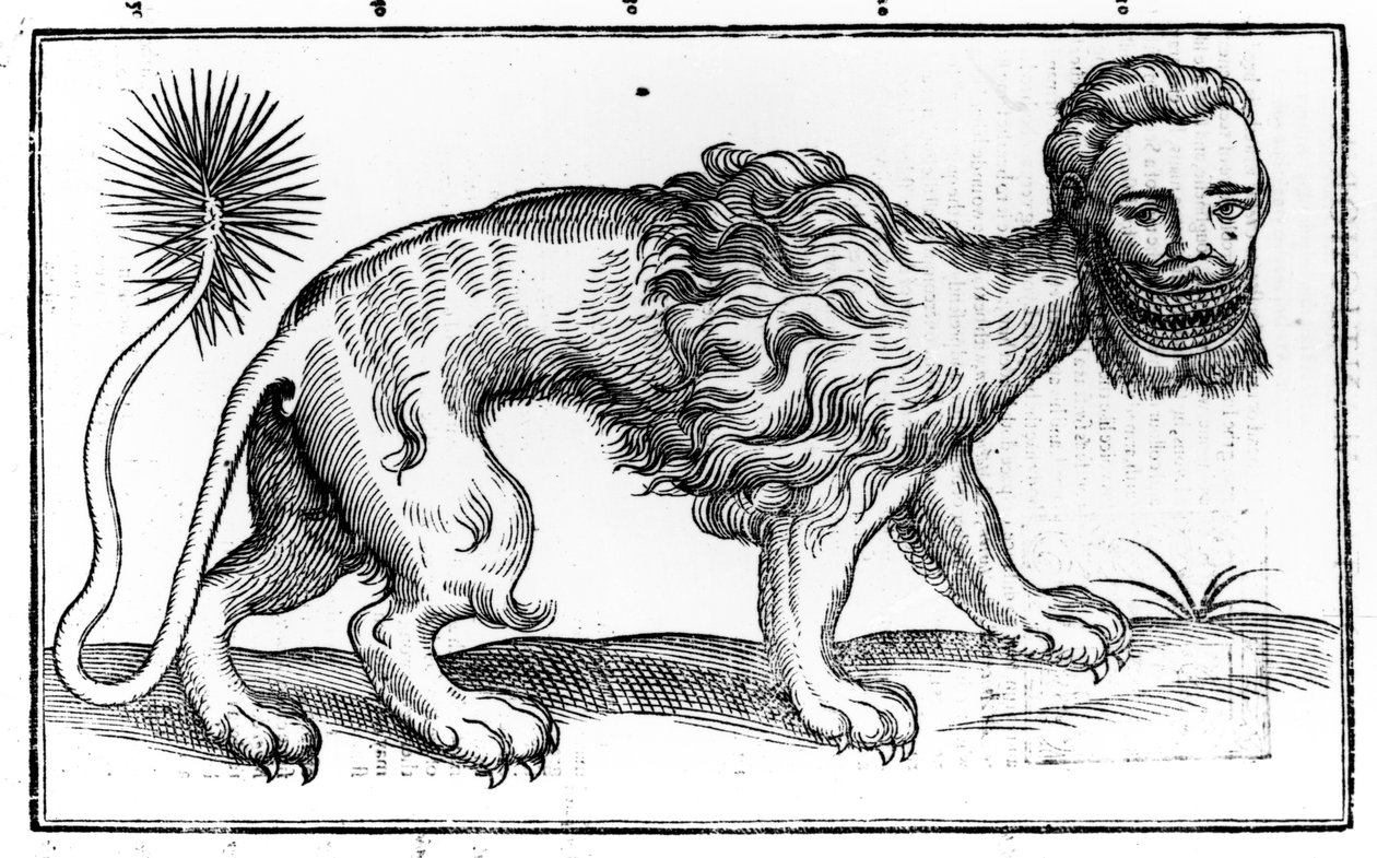Manticore a Négylábú állatok történelméből, Edward Topselltől, 1607-ben alkotó: Edward Topsell