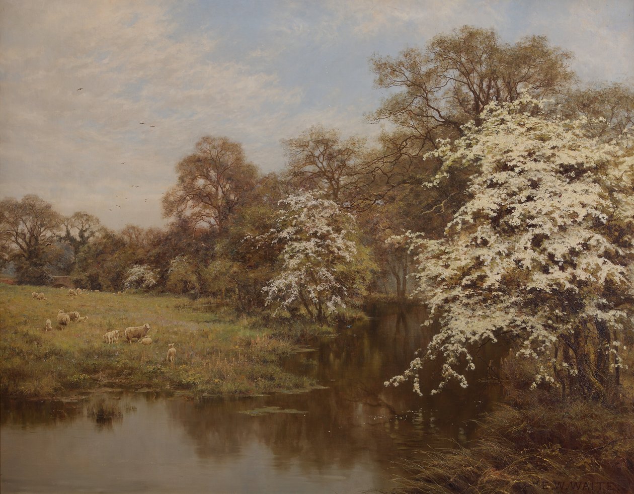 Hawthorn Blossom alkotó: Edward Wilkins Waite