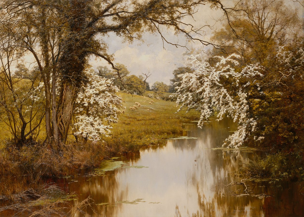 Ahol vidáman virágzik a szétterülő galagonya (olaj, vászon) alkotó: Edward Wilkins Waite