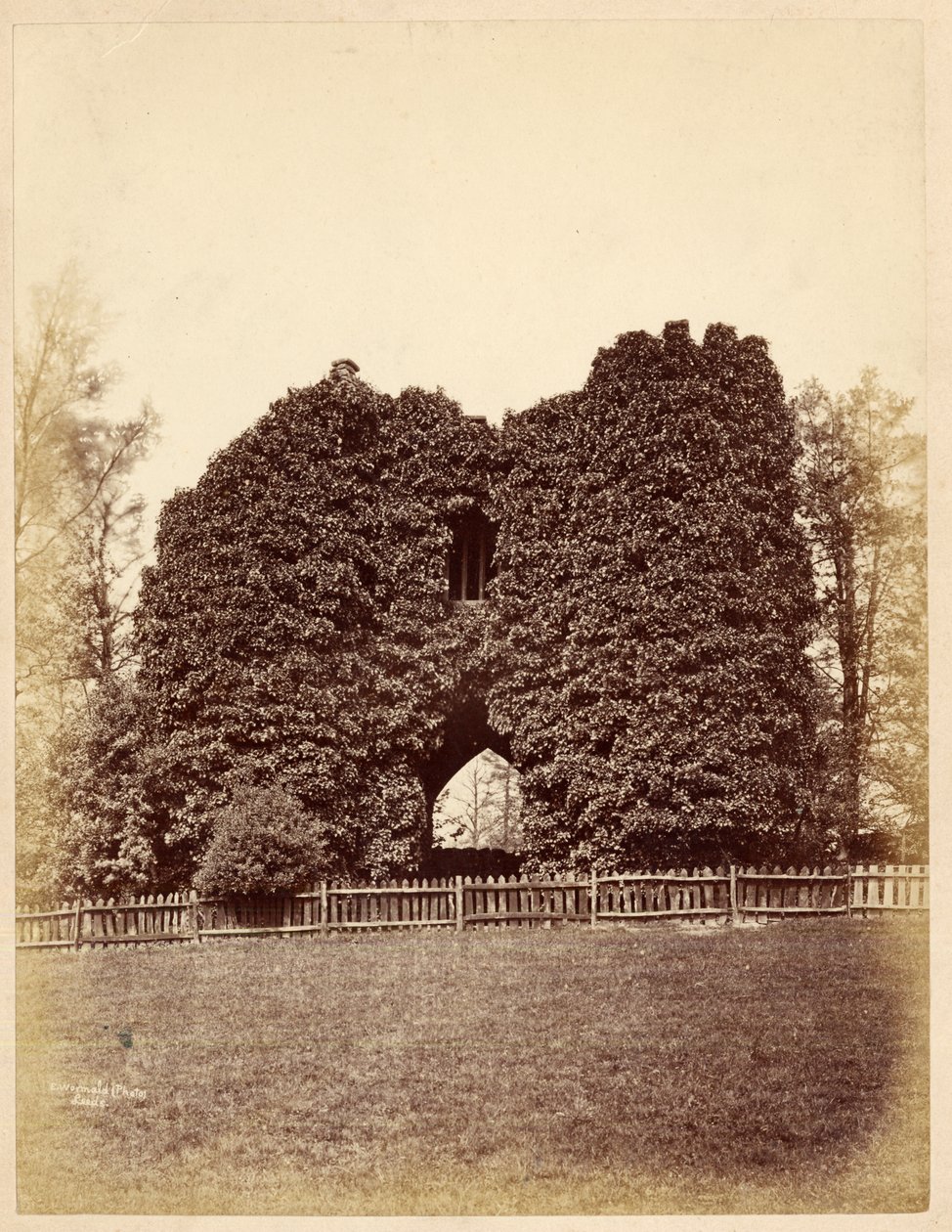 Kilátás egy bolondságra a Roundhay Parkban (albumnyomat) alkotó: Edward Wormald