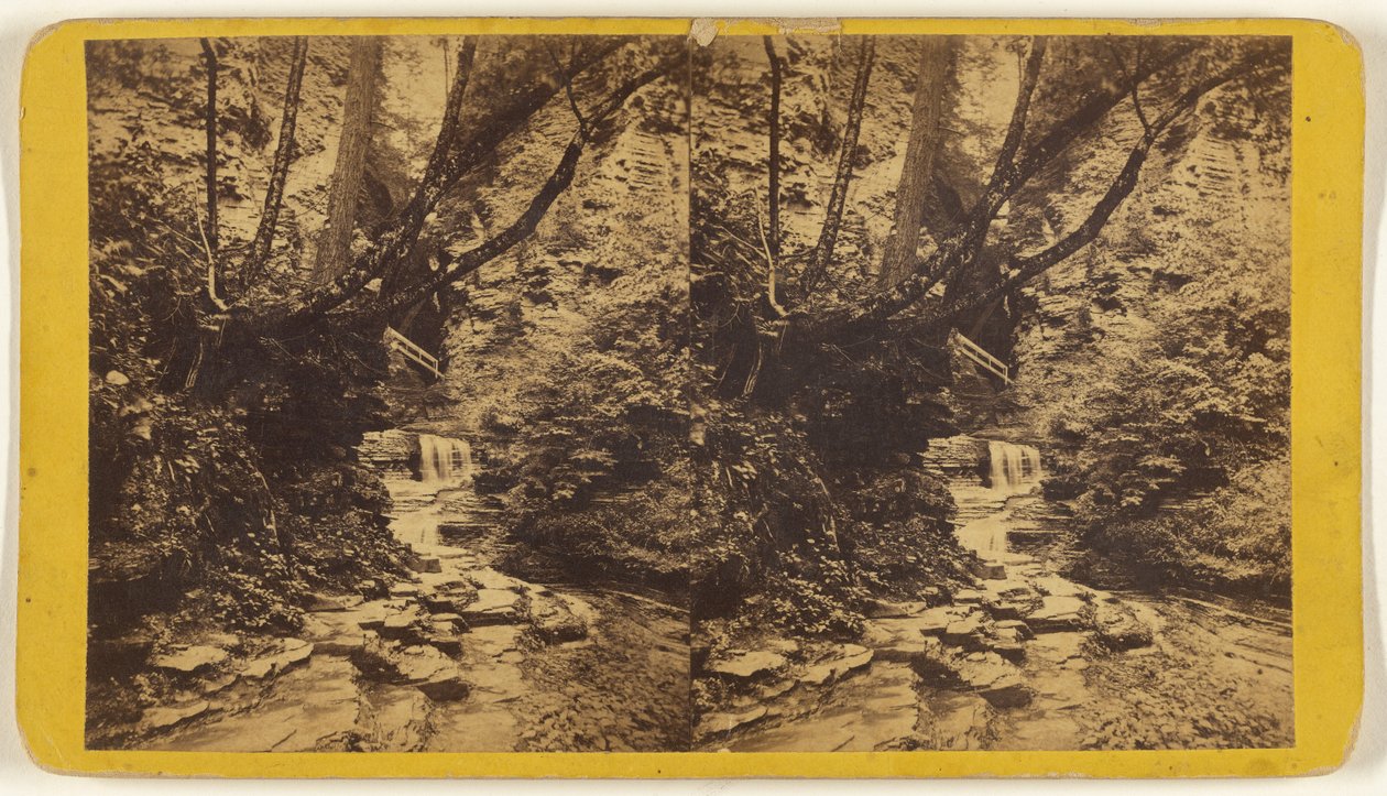 Művészek tanulmányai, Glen Alpha. 1. szekció. alkotó: Edward and Henry T. Anthony and Co.