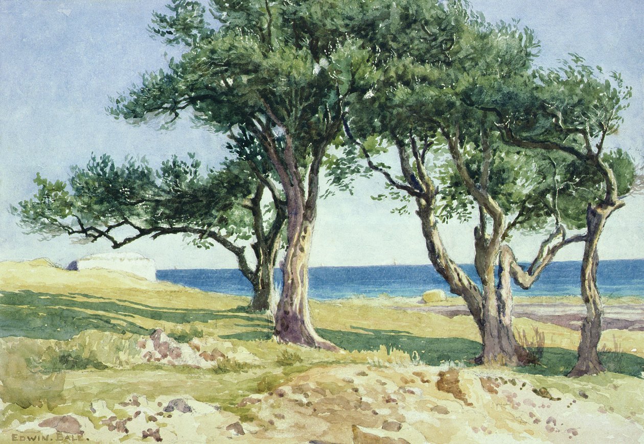 Öreg olajfák, Bordighera alkotó: Edwin Bale
