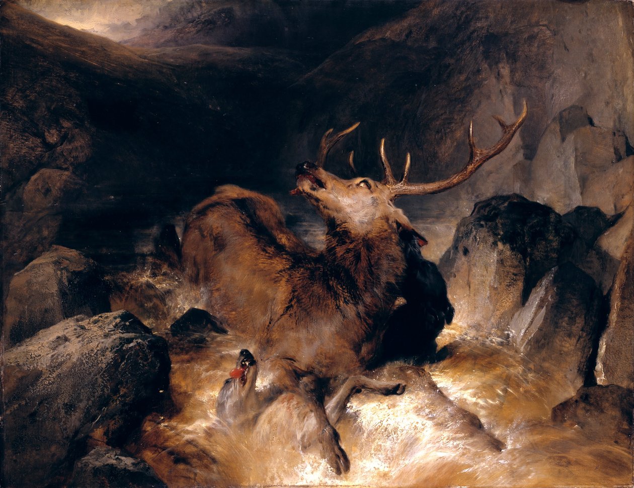 Szarvas és szarvaskutya egy hegyi torrentben alkotó: Edwin Landseer
