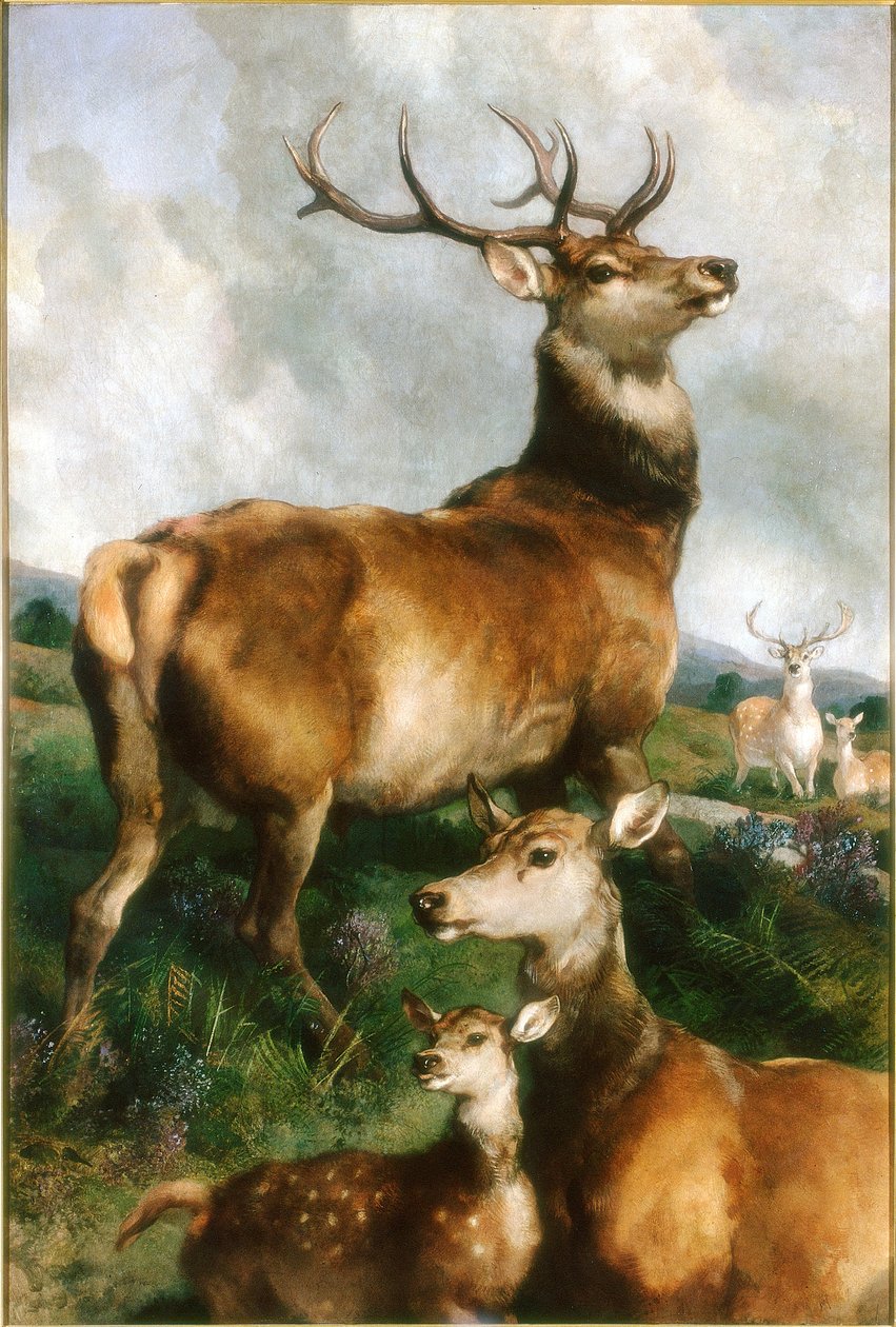 A Chillingham Park szarvasa, Northumberland, 1867 körül alkotó: Edwin Landseer