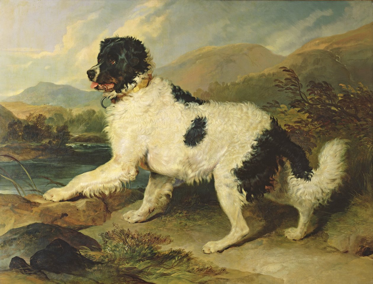 Oroszlánnak nevezett újfundlandi kutya, 1824 alkotó: Edwin Landseer