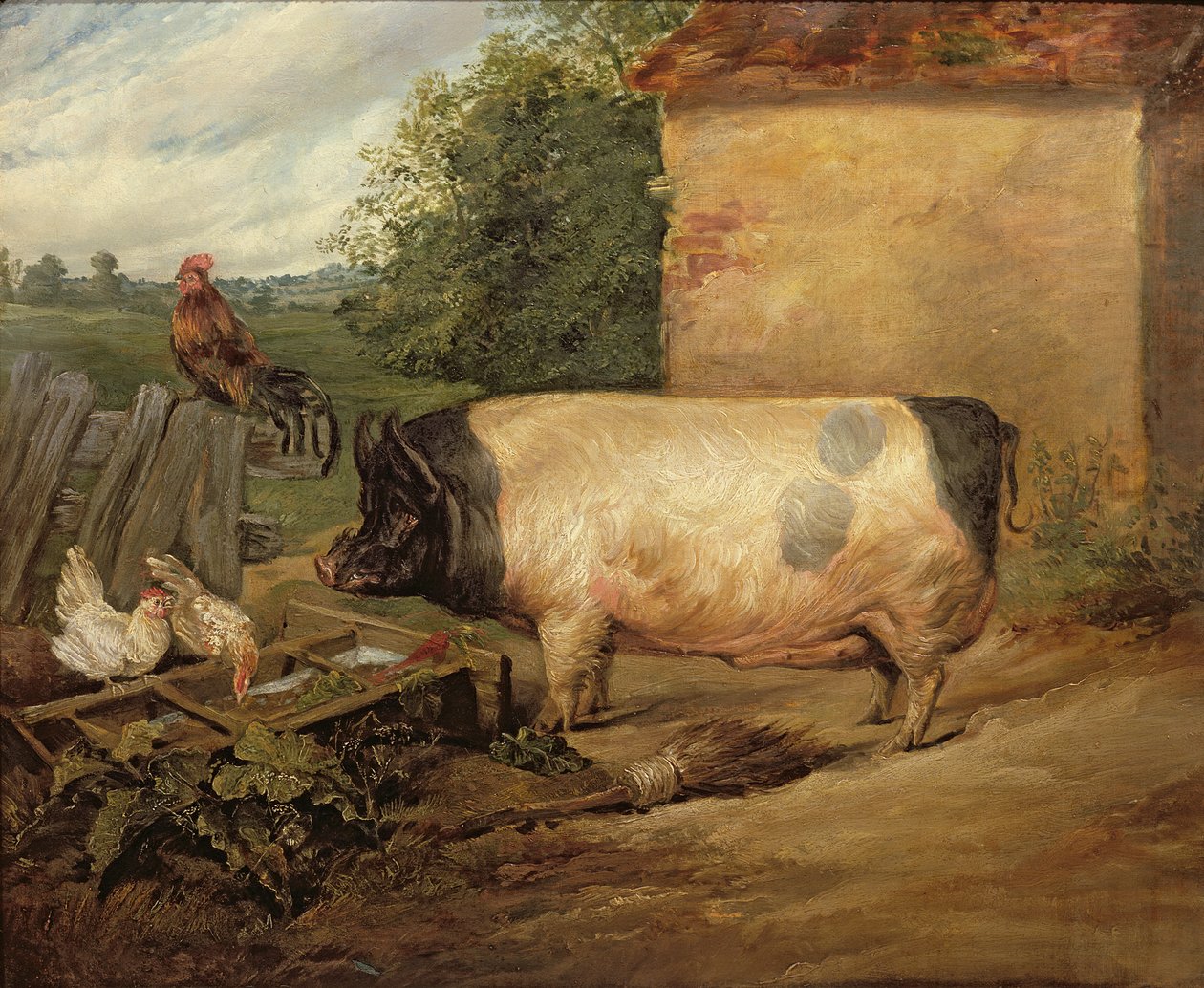 Egy díjnyertes sertés portréja, az essexi Weston uraság tulajdona, 1810 alkotó: Edwin Landseer