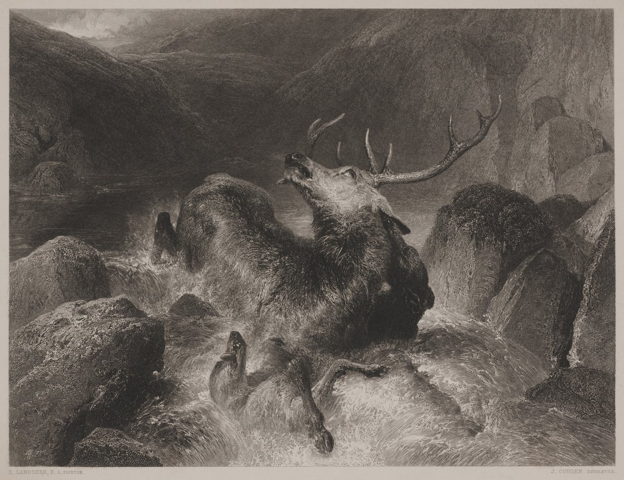 A szarvas halála, vésette John Cousen (1804-80) alkotó: Edwin (after) Landseer