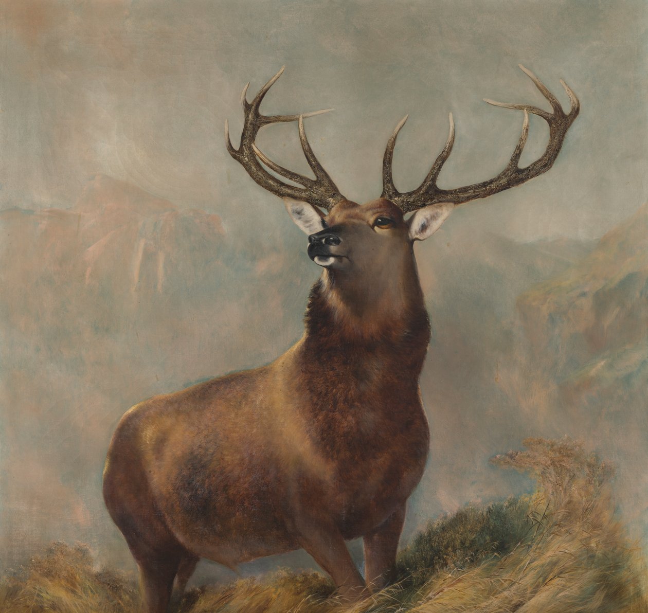 The Monarch of the Glen, 1822-73 körül (olaj, vászon) alkotó: Edwin (after) Landseer