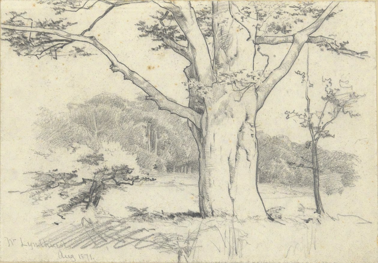 Nr. Lyndhurst, 1871. aug alkotó: Edwin Austin Abbey