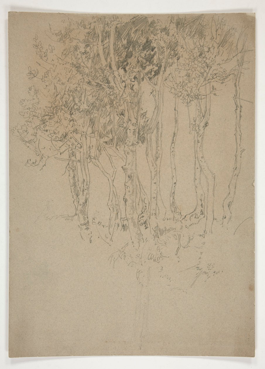 Vázlat egy ligetről alkotó: Edwin Austin Abbey
