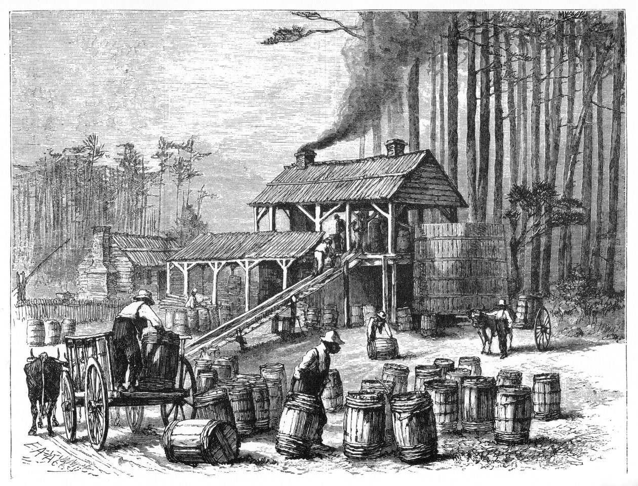 Terpentine Distillery, Észak-Karolina, 1870. alkotó: Edwin Austin Abbey