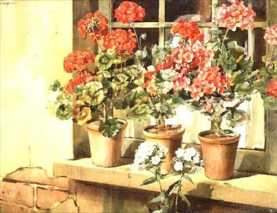 Muskátlik alkotó: Edwin Byatt
