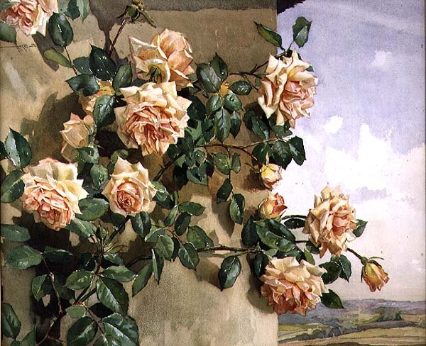 Rózsa a falon alkotó: Edwin Byatt