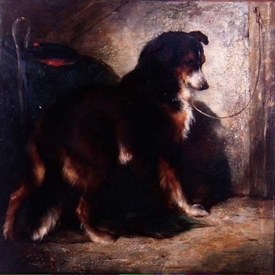 A Shepherd