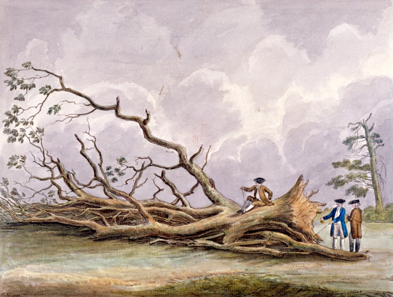 Egy október 15-i vihar által megrongált fák, Roehampton, London, 1780 alkotó: Edwin Edwards